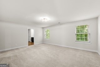 1049 Climbing Rose Way McDonough - Photo 21