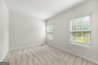 1049 Climbing Rose Way McDonough - Photo 28