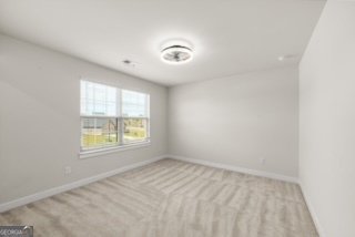 1049 Climbing Rose Way McDonough - Photo 32