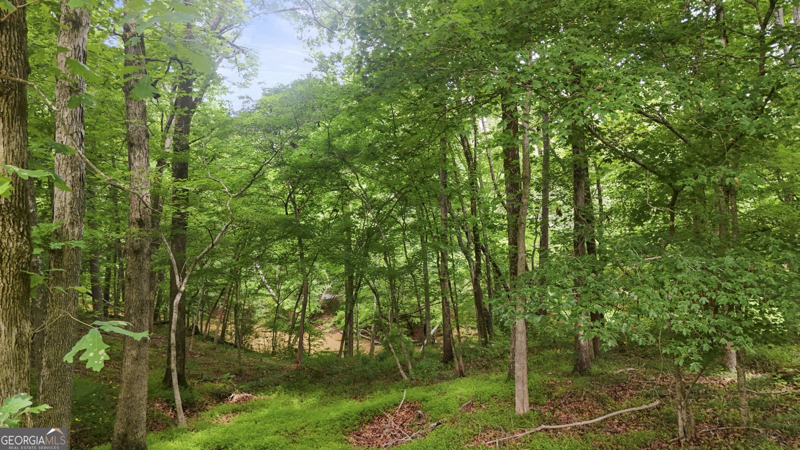 1593 Walkway Court Lilburn - Photo 60