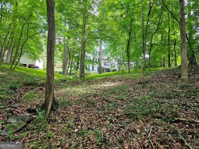 1593 Walkway Court Lilburn - Photo 63