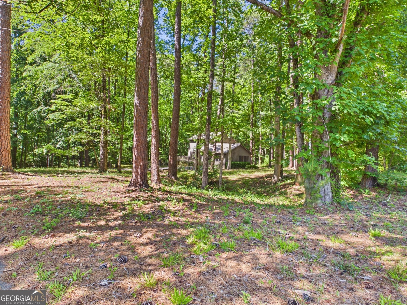 202 Hilltop Circle Macon - Photo 43