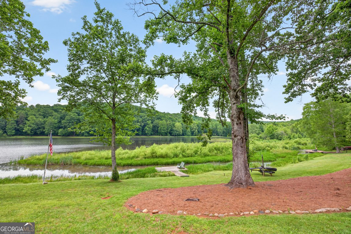 355 Fausetts Lake Road Dawsonville - Photo 52
