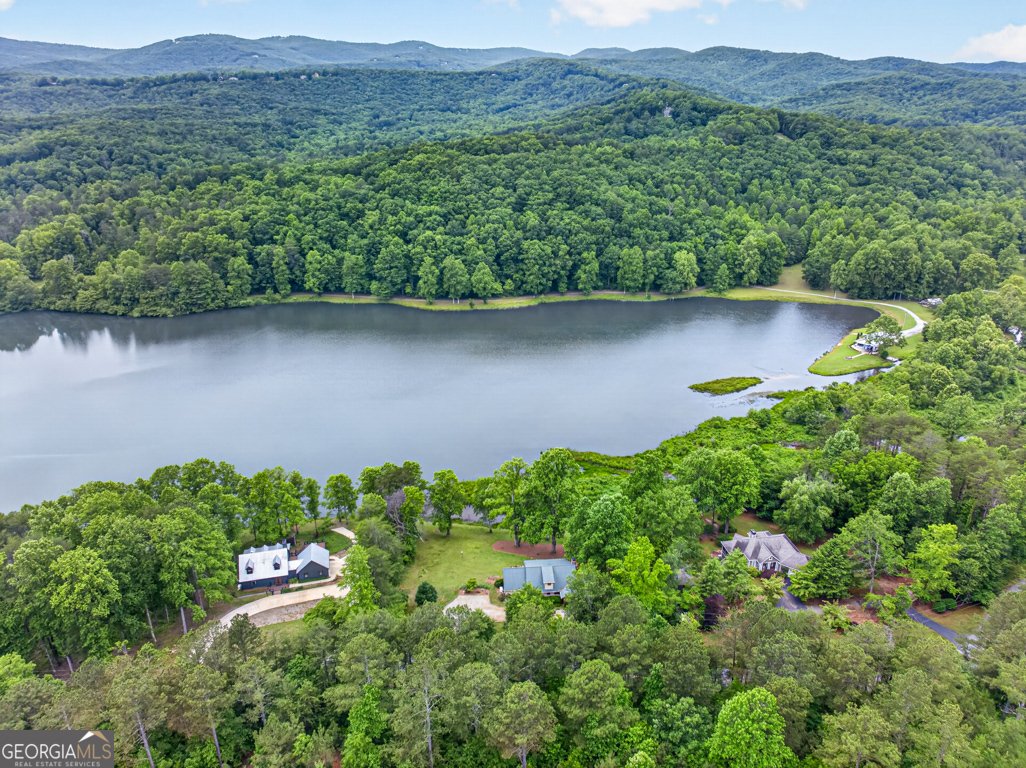 355 Fausetts Lake Road Dawsonville - Photo 63
