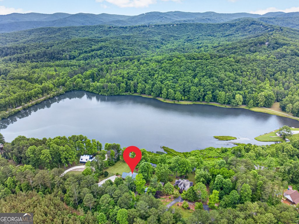 355 Fausetts Lake Road Dawsonville - Photo 64