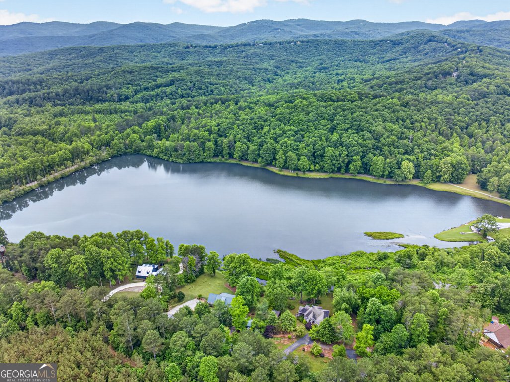 355 Fausetts Lake Road Dawsonville - Photo 65