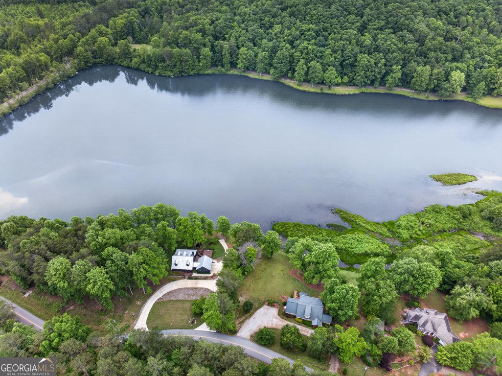 355 Fausetts Lake Road Dawsonville - Photo 66