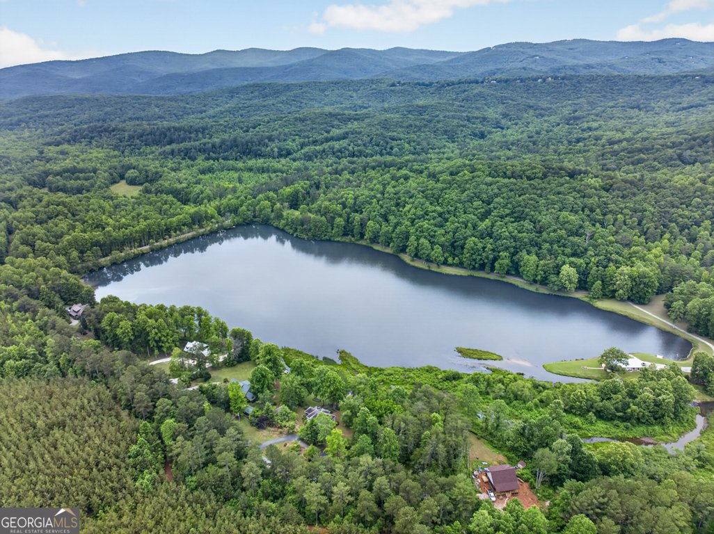 355 Fausetts Lake Road Dawsonville - Photo 67
