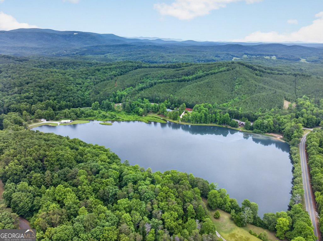 355 Fausetts Lake Road Dawsonville - Photo 68