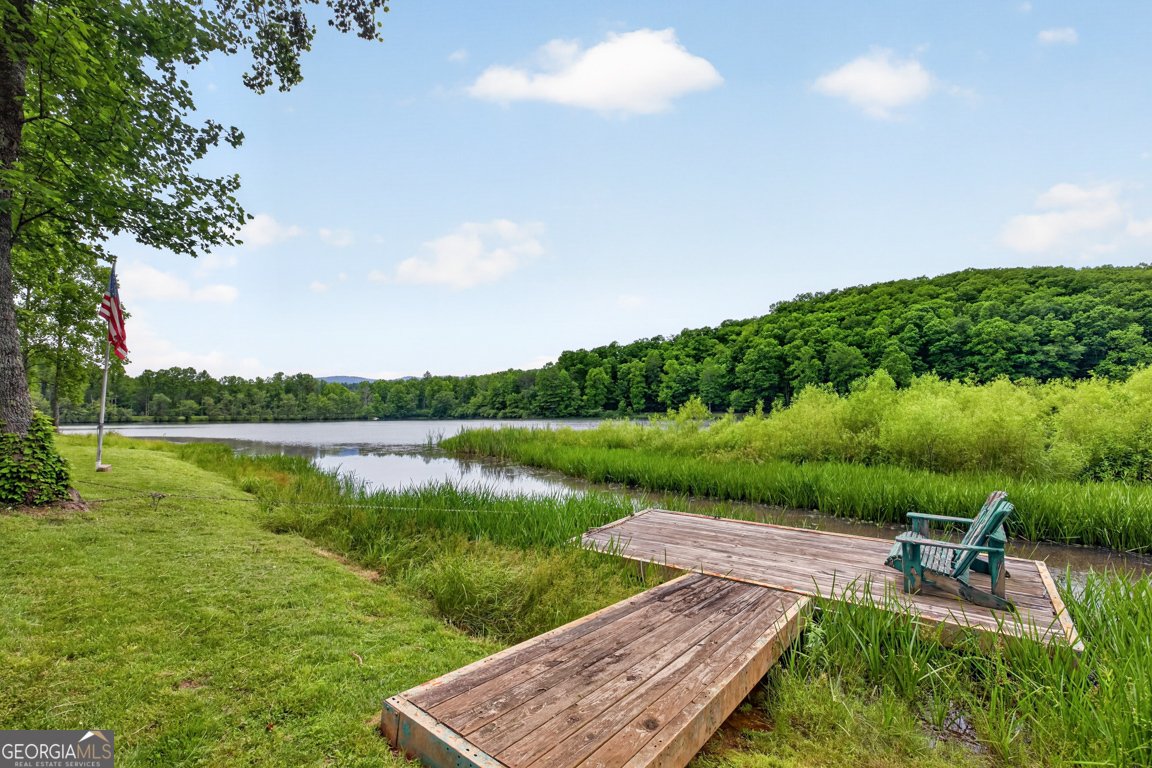 355 Fausetts Lake Road Dawsonville - Photo 9
