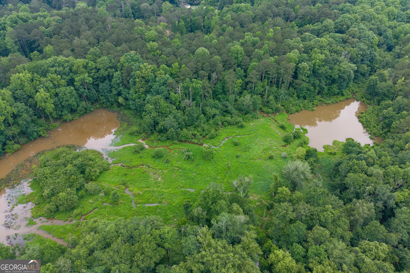 250 Country Lane Road Fayetteville - Photo 60