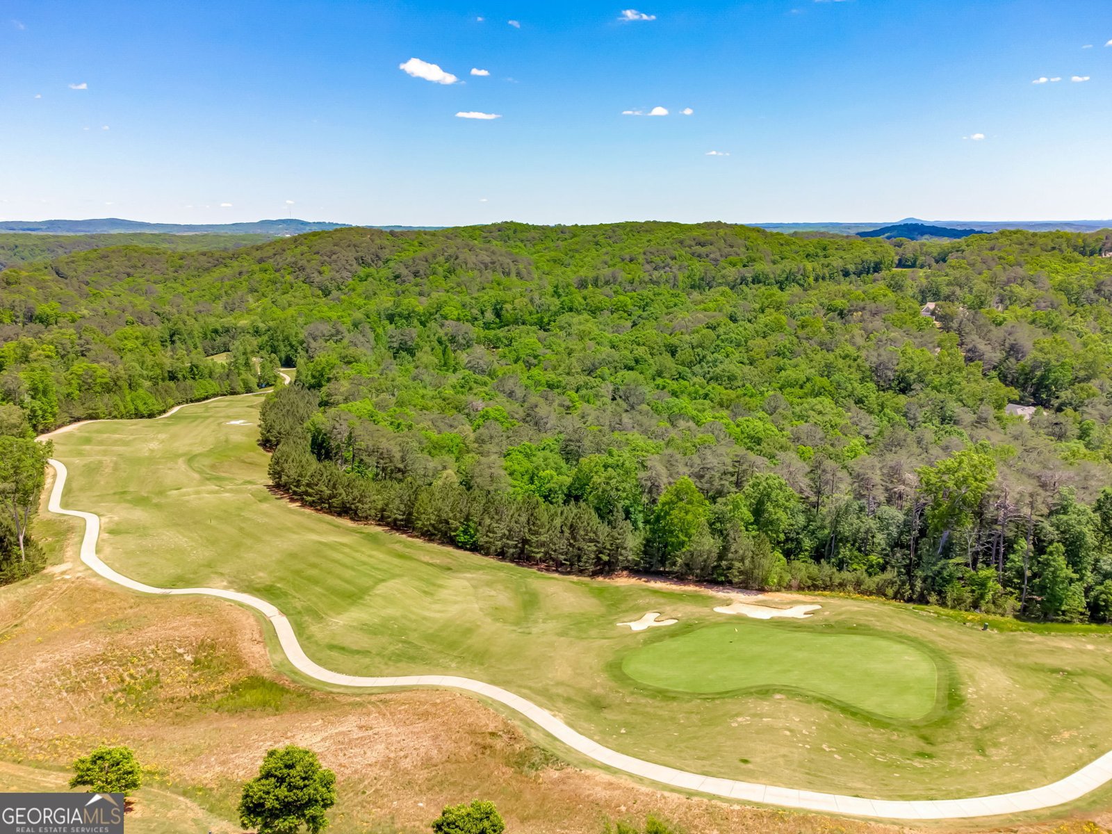 133 Fort Gibson Court Waleska - Photo 48