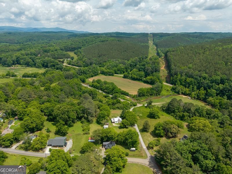 130 Old Blairsville Highway Talking Rock - Photo 42