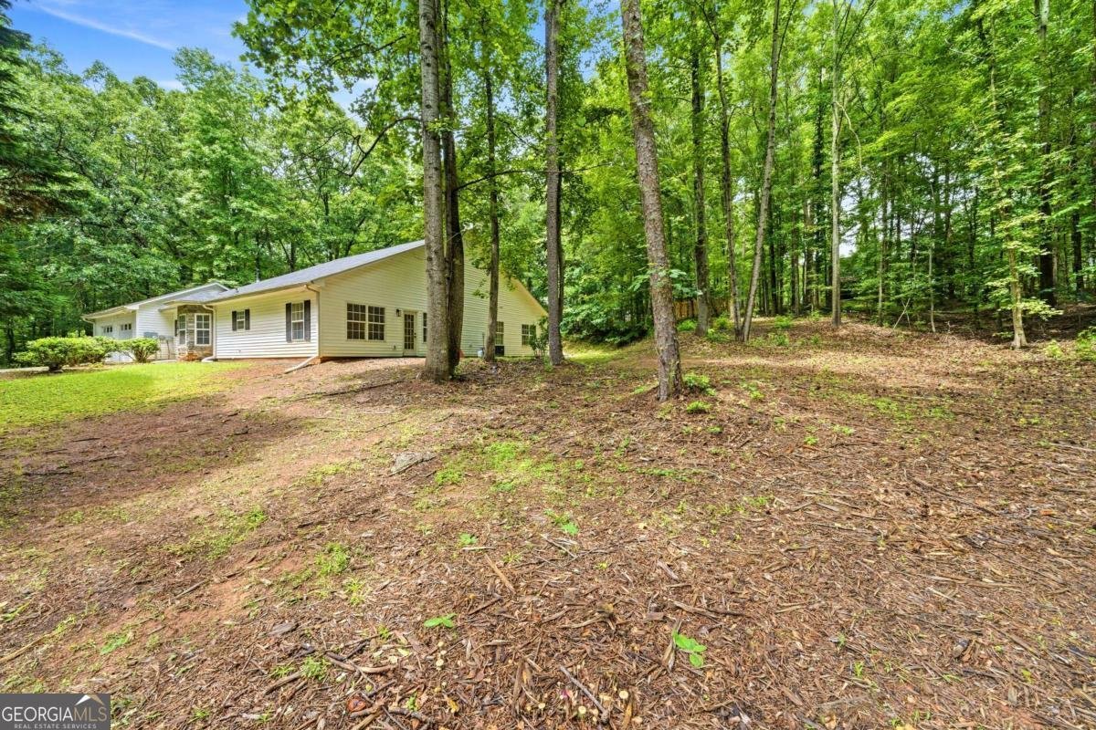 359 Cannongate Road Sharpsburg - Photo 25