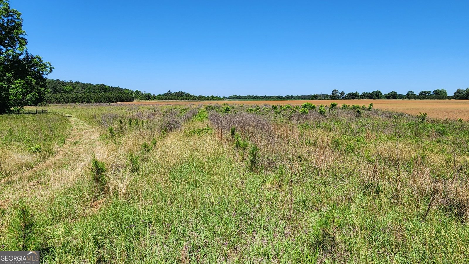 246 Melton Mill Road Dawson - Photo 11