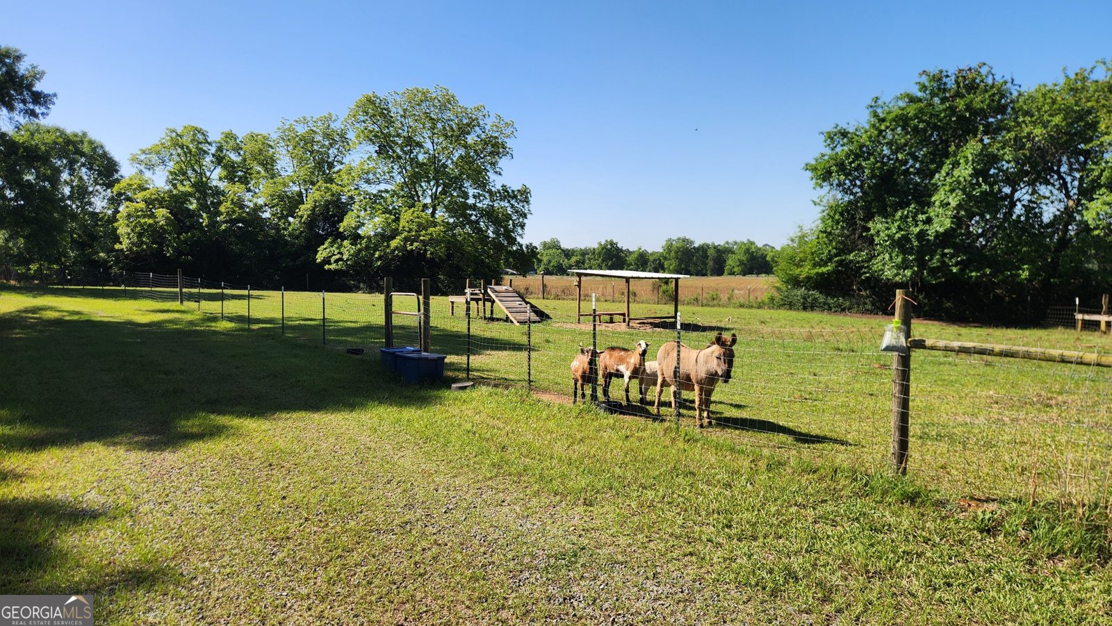 246 Melton Mill Road Dawson - Photo 13