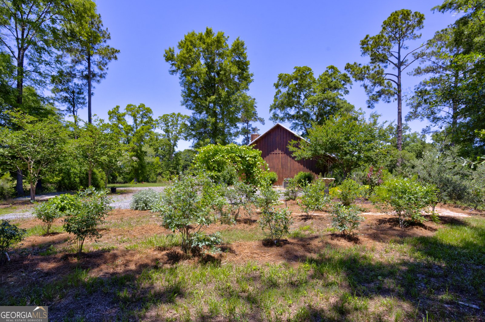 246 Melton Mill Road Dawson - Photo 22