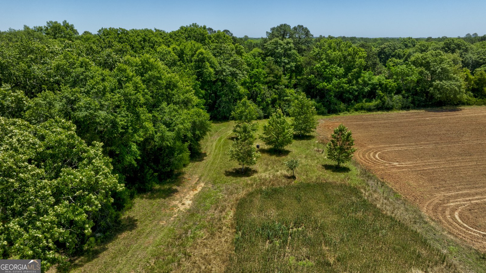 246 Melton Mill Road Dawson - Photo 49