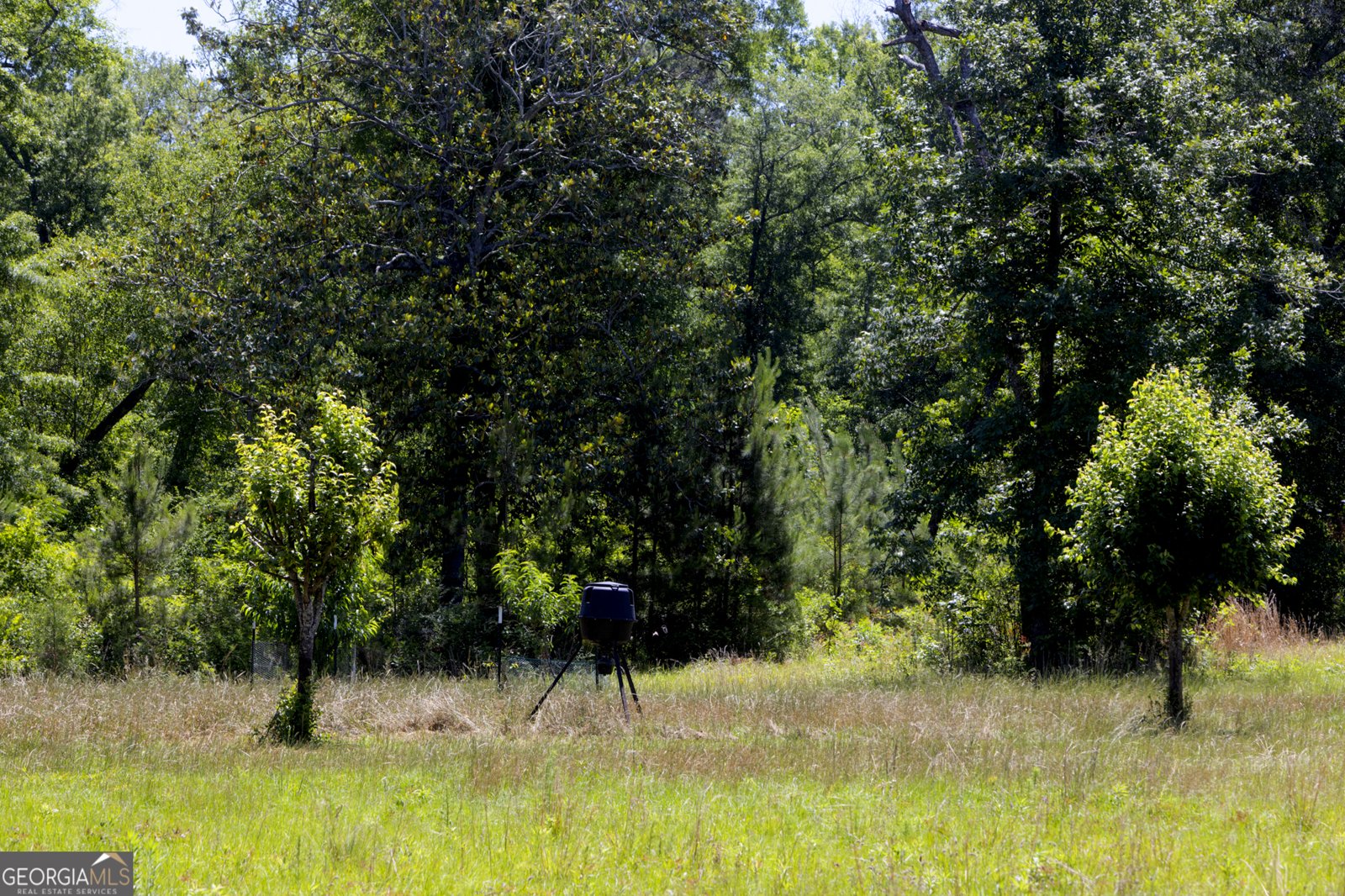 246 Melton Mill Road Dawson - Photo 54