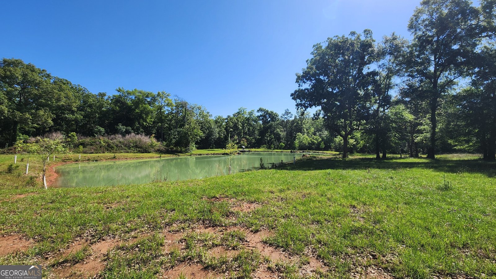 246 Melton Mill Road Dawson - Photo 6