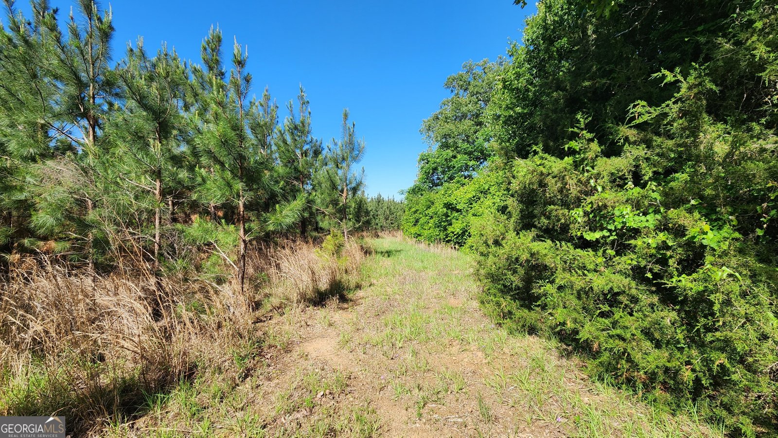 246 Melton Mill Road Dawson - Photo 63