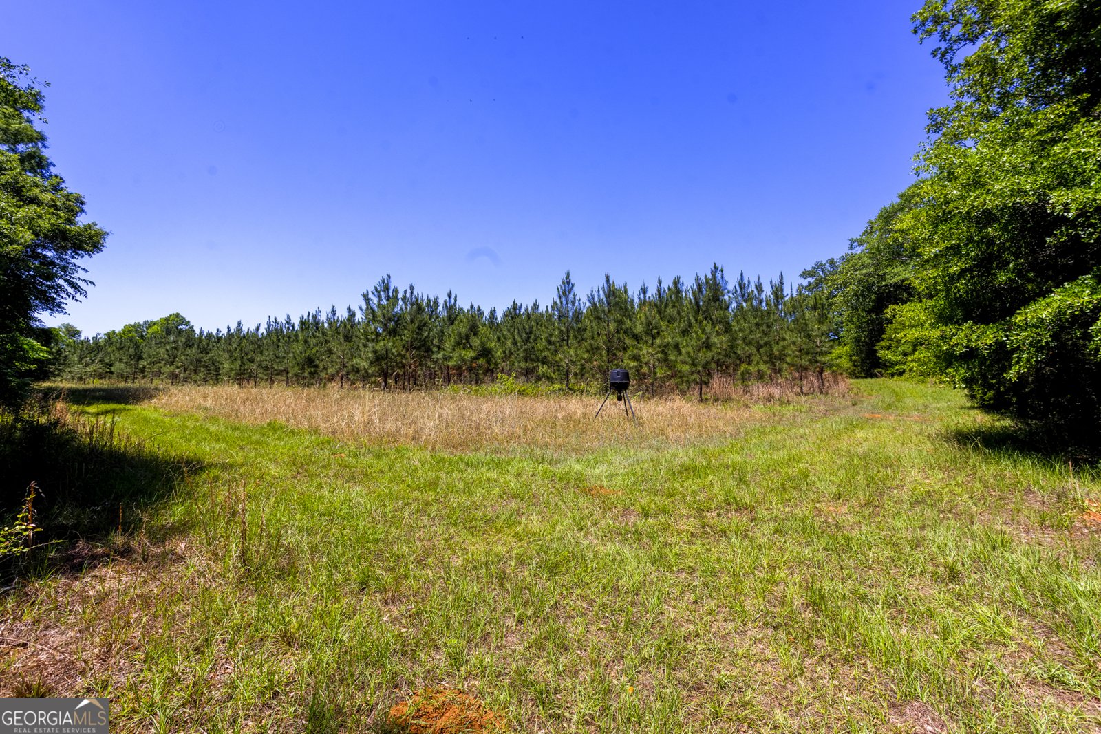 246 Melton Mill Road Dawson - Photo 7