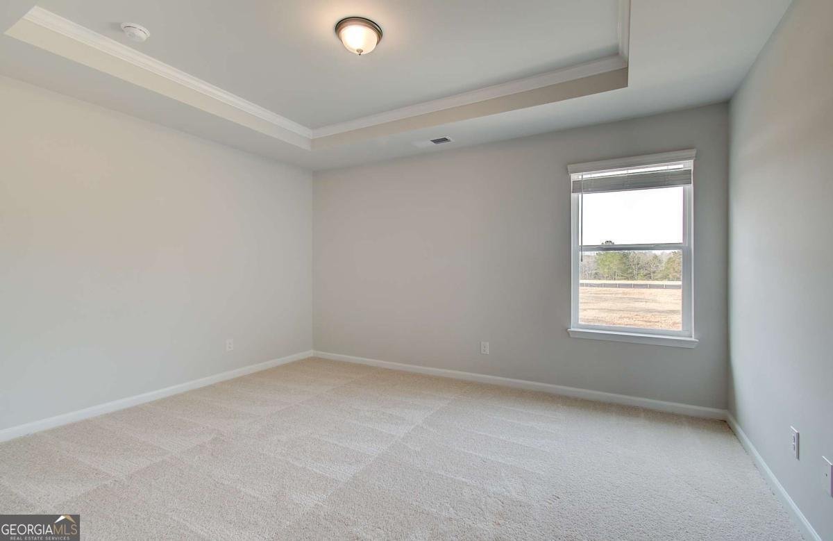 225 Delta Drive Mcdonough - Photo 25