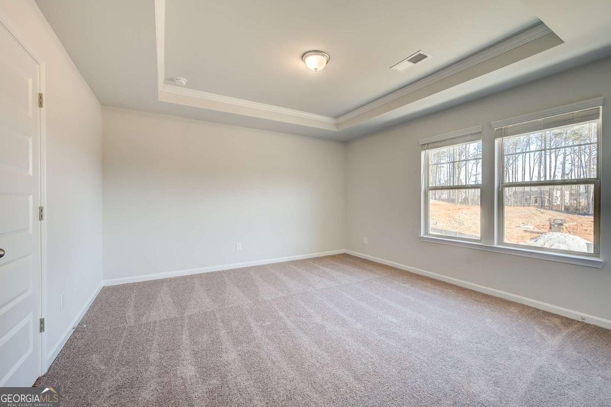 229 Delta Drive Mcdonough - Photo 23