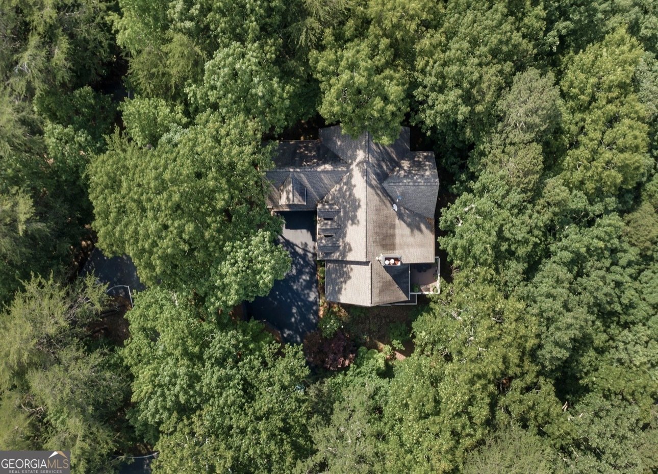 496 Cherokee Trail Big Canoe - Photo 50