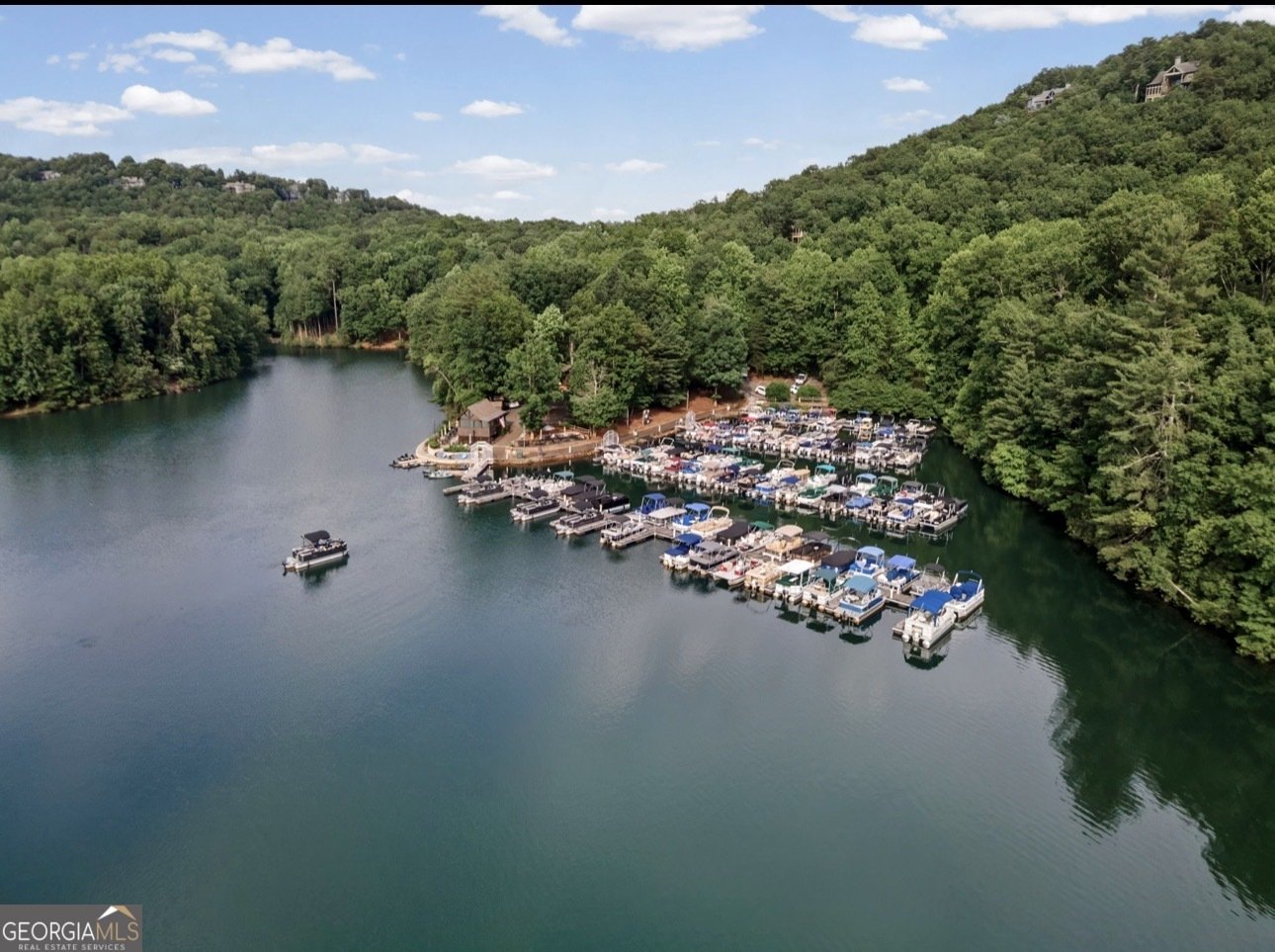496 Cherokee Trail Big Canoe - Photo 52