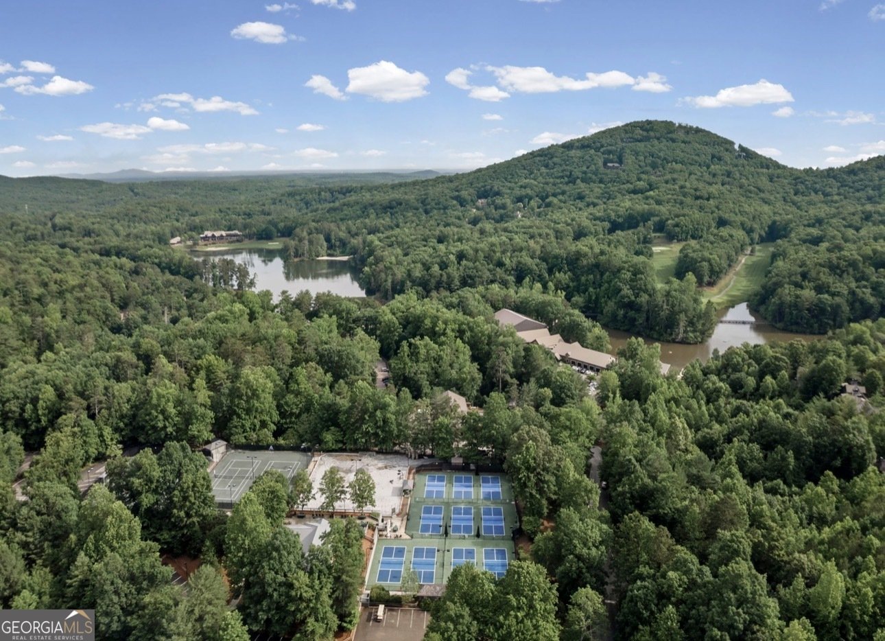 496 Cherokee Trail Big Canoe - Photo 53