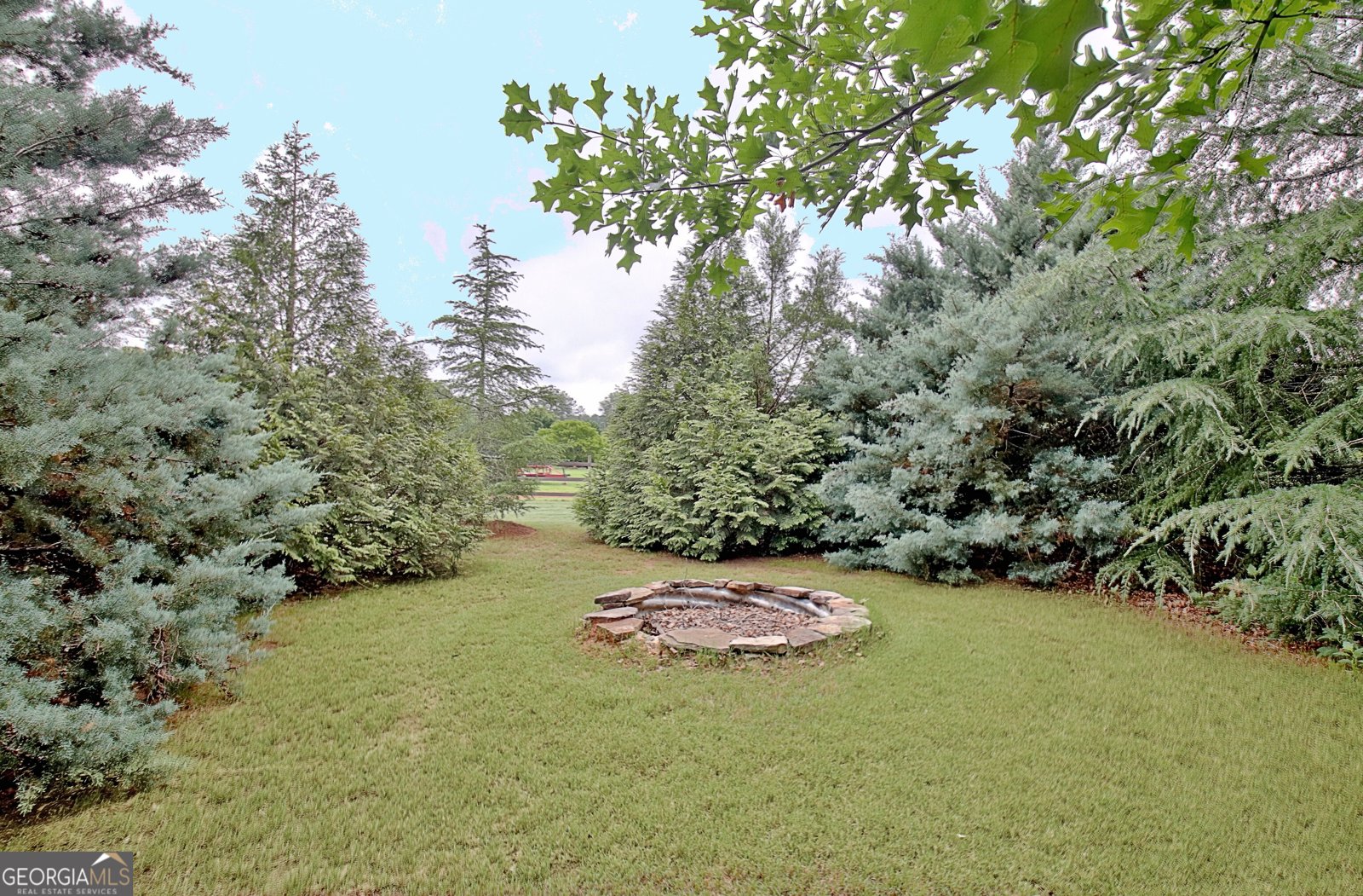 105 Bell Springs Road Senoia - Photo 43