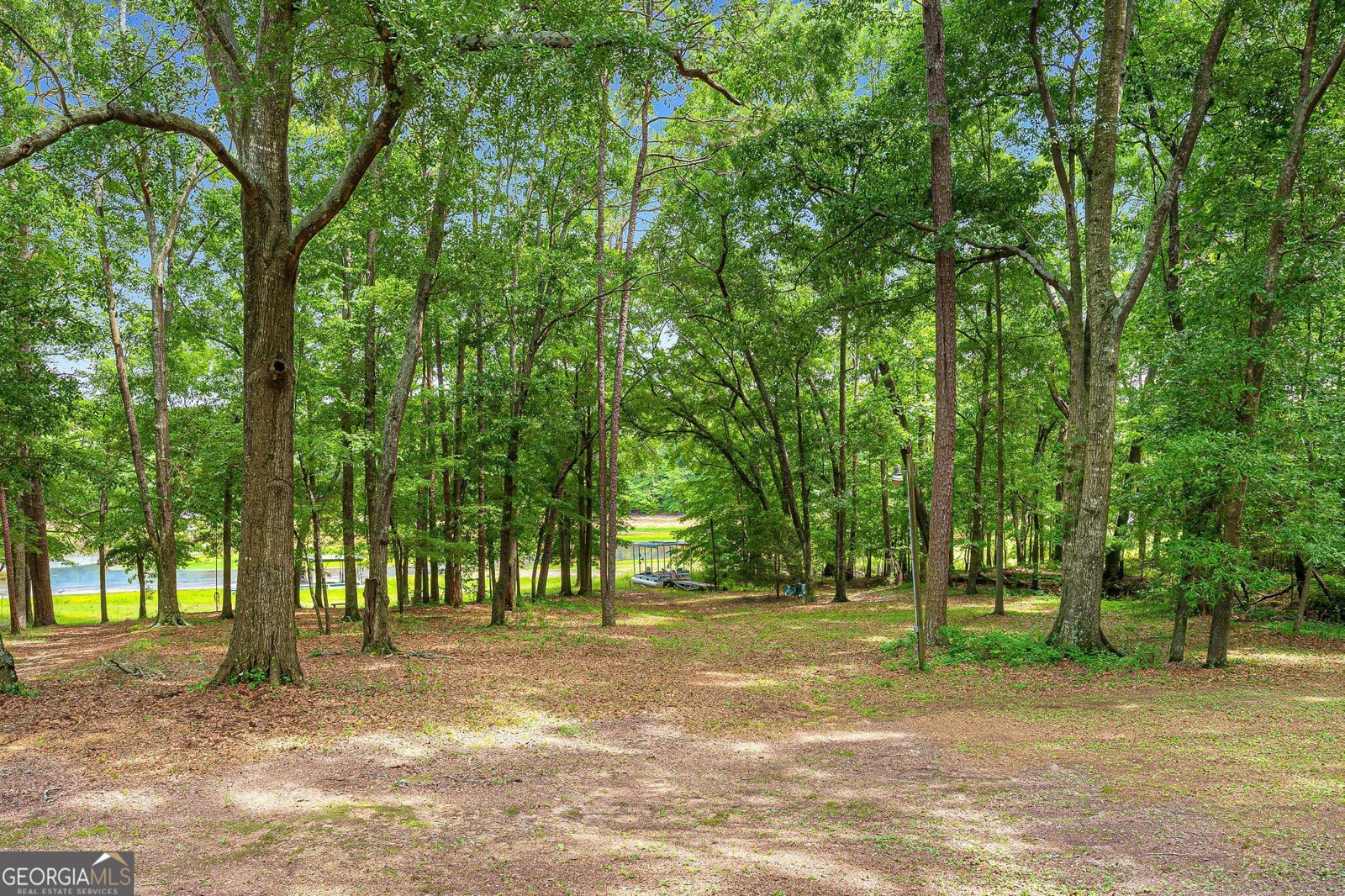 465 Water Oak Dell Drive Lavonia - Photo 7