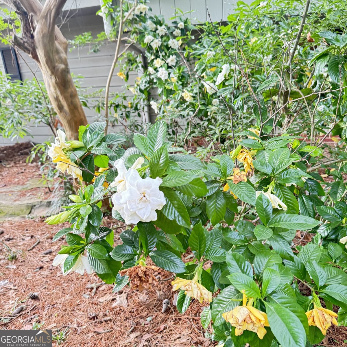 207 Iris Drive Centre - Photo 10