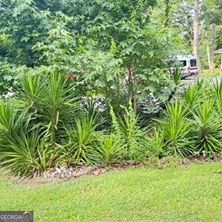 207 Iris Drive Centre - Photo 7