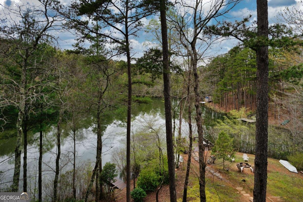 276 My Mountain Road Morganton - Photo 13