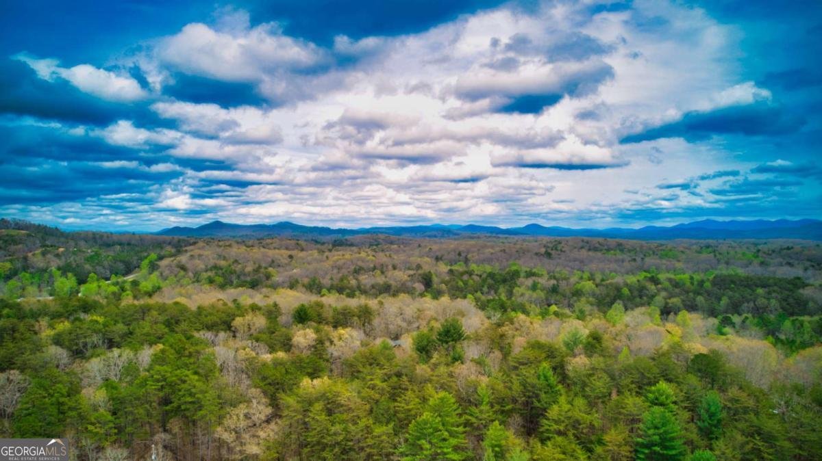 276 My Mountain Road Morganton - Photo 51