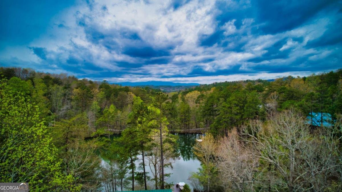 276 My Mountain Road Morganton - Photo 60