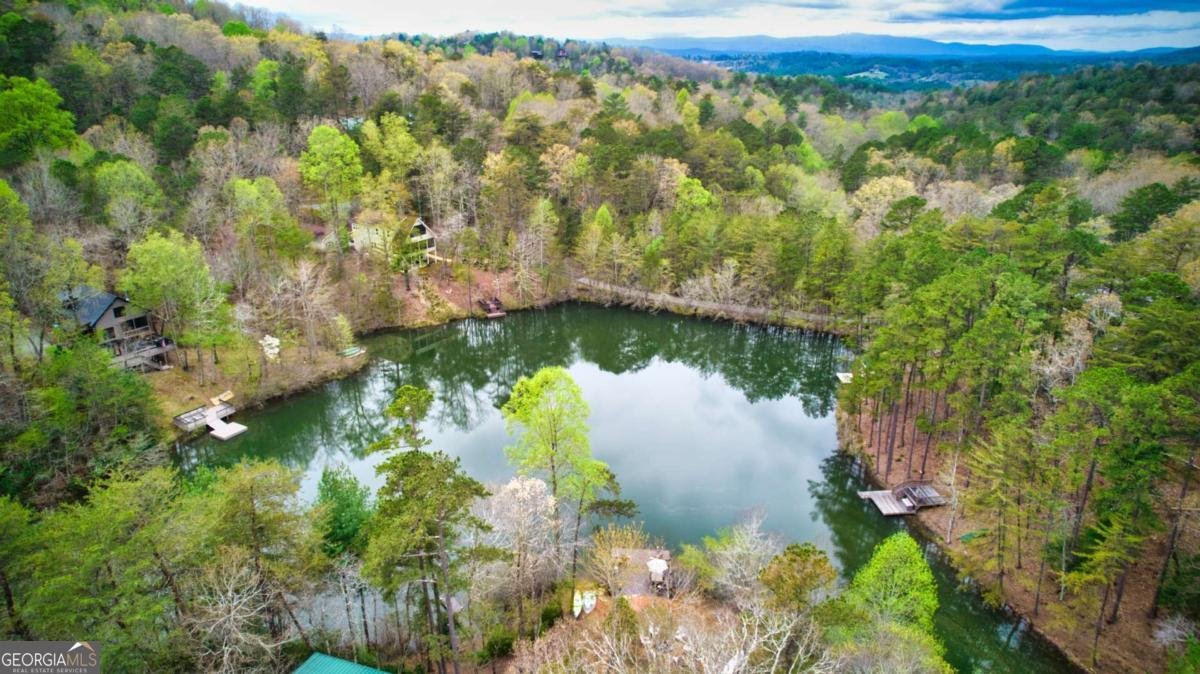 276 My Mountain Road Morganton - Photo 61