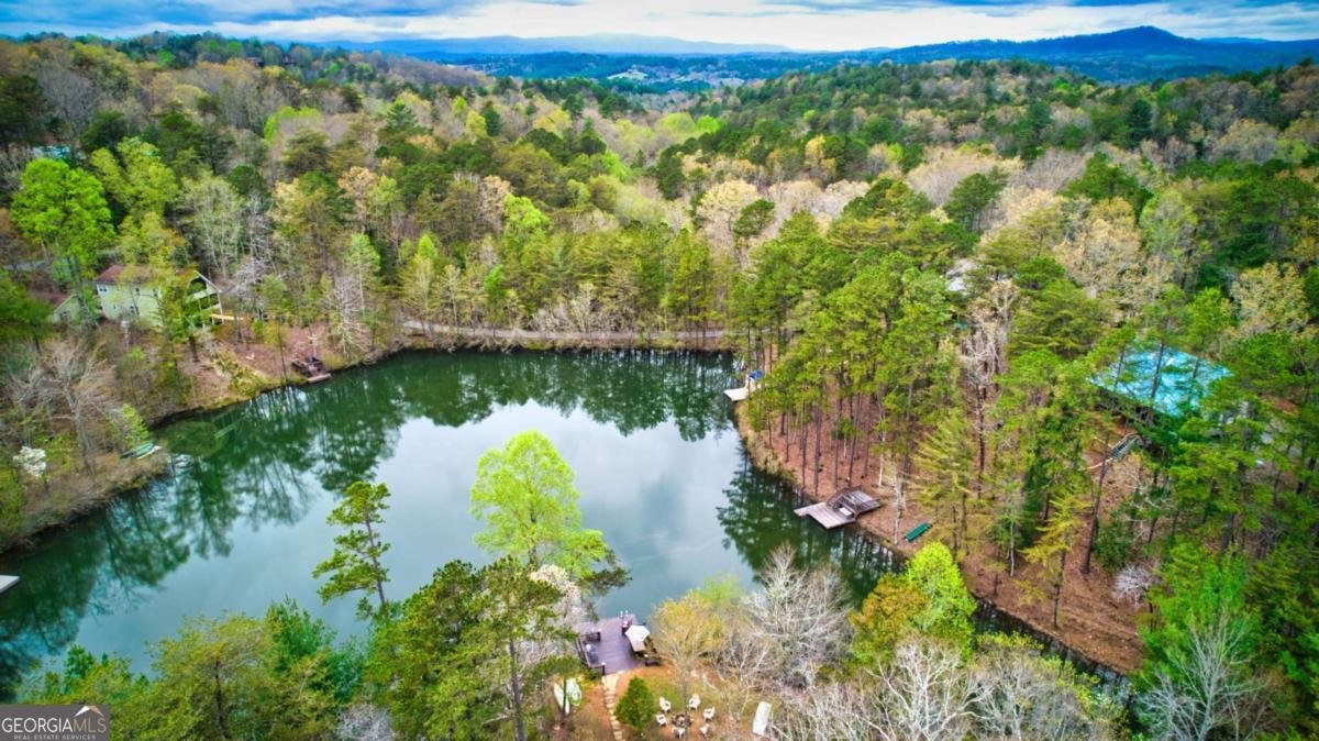 276 My Mountain Road Morganton - Photo 62