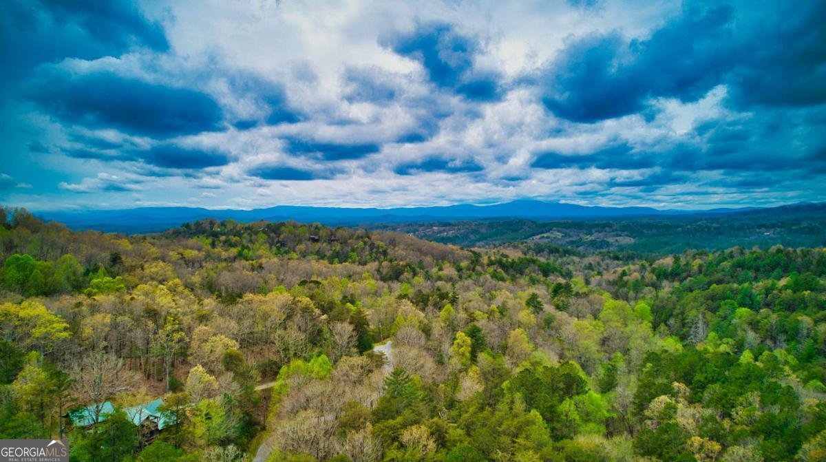 276 My Mountain Road Morganton - Photo 7