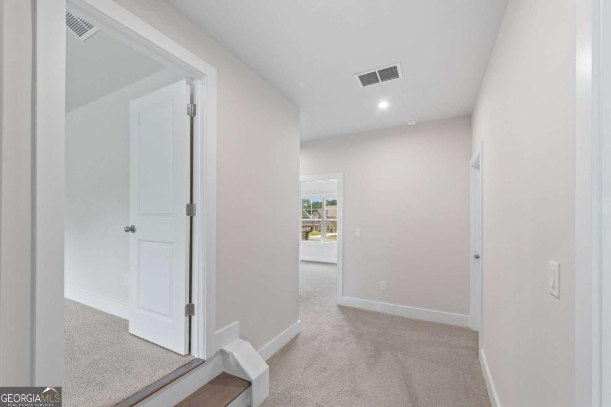 3915 Kilya Lane Cumming - Photo 60