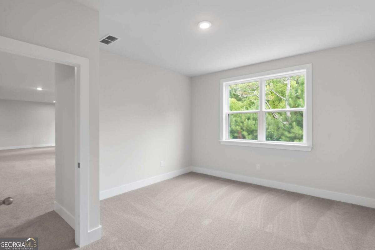 3915 Kilya Lane Cumming - Photo 67