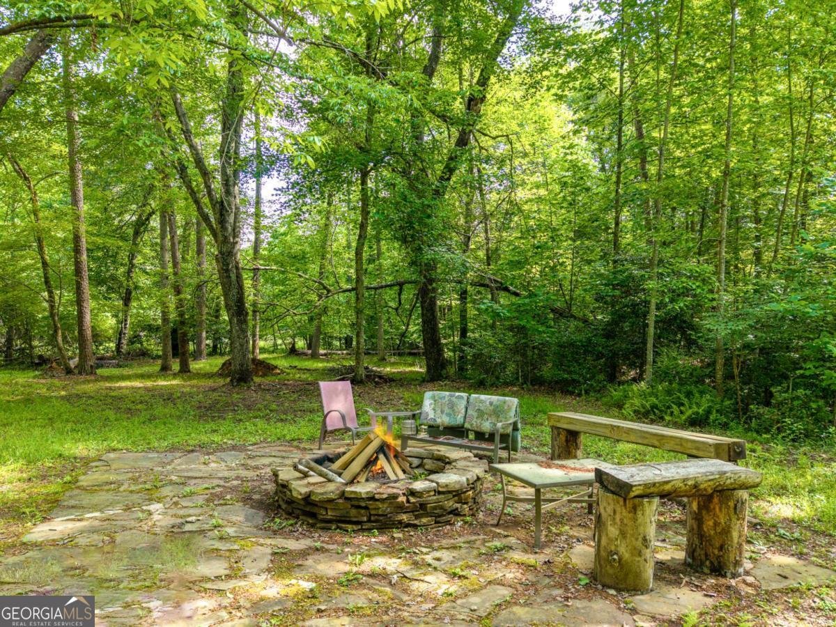 55 Hallee Drive Mineral Bluff - Photo 15