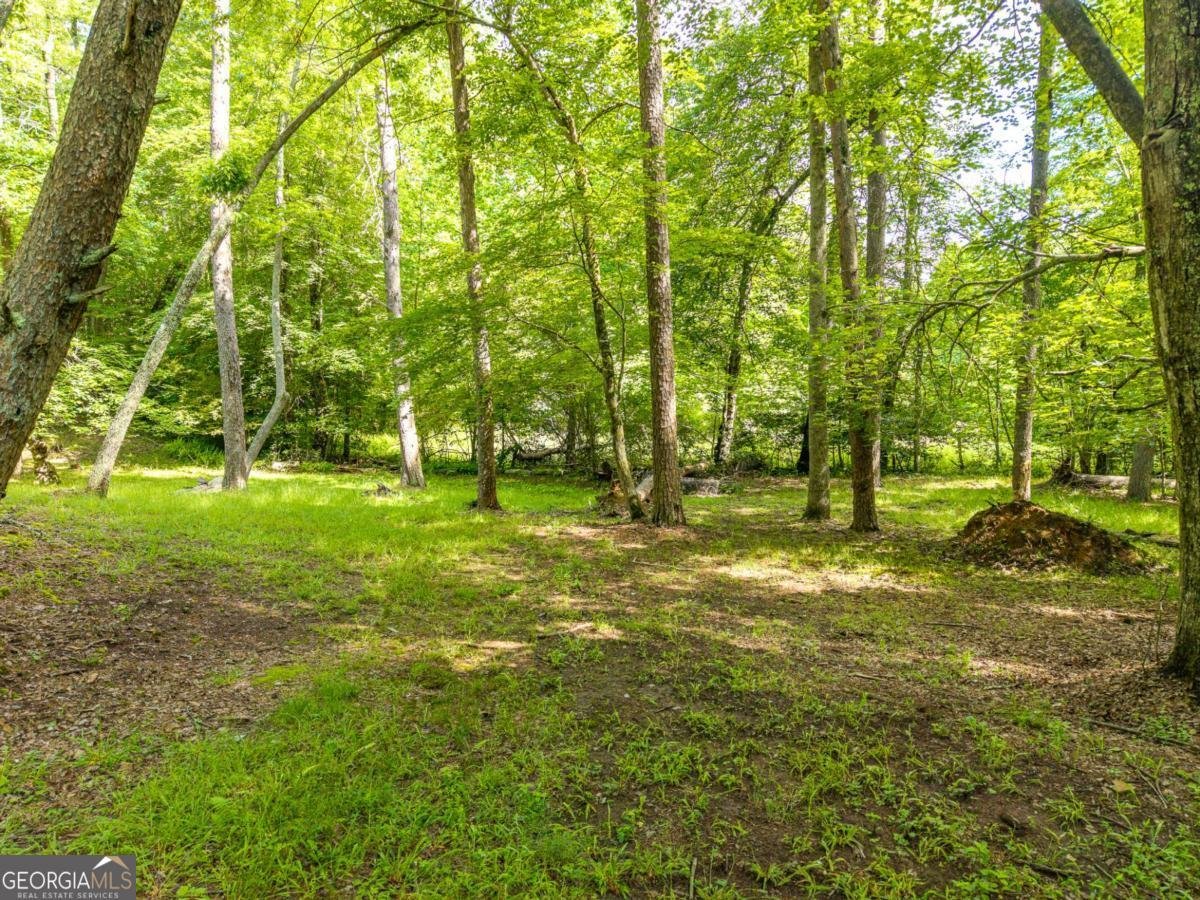 55 Hallee Drive Mineral Bluff - Photo 16
