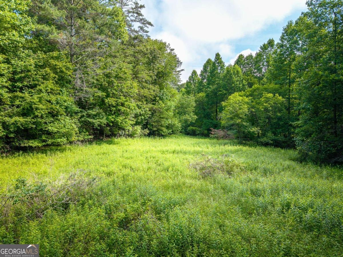55 Hallee Drive Mineral Bluff - Photo 17