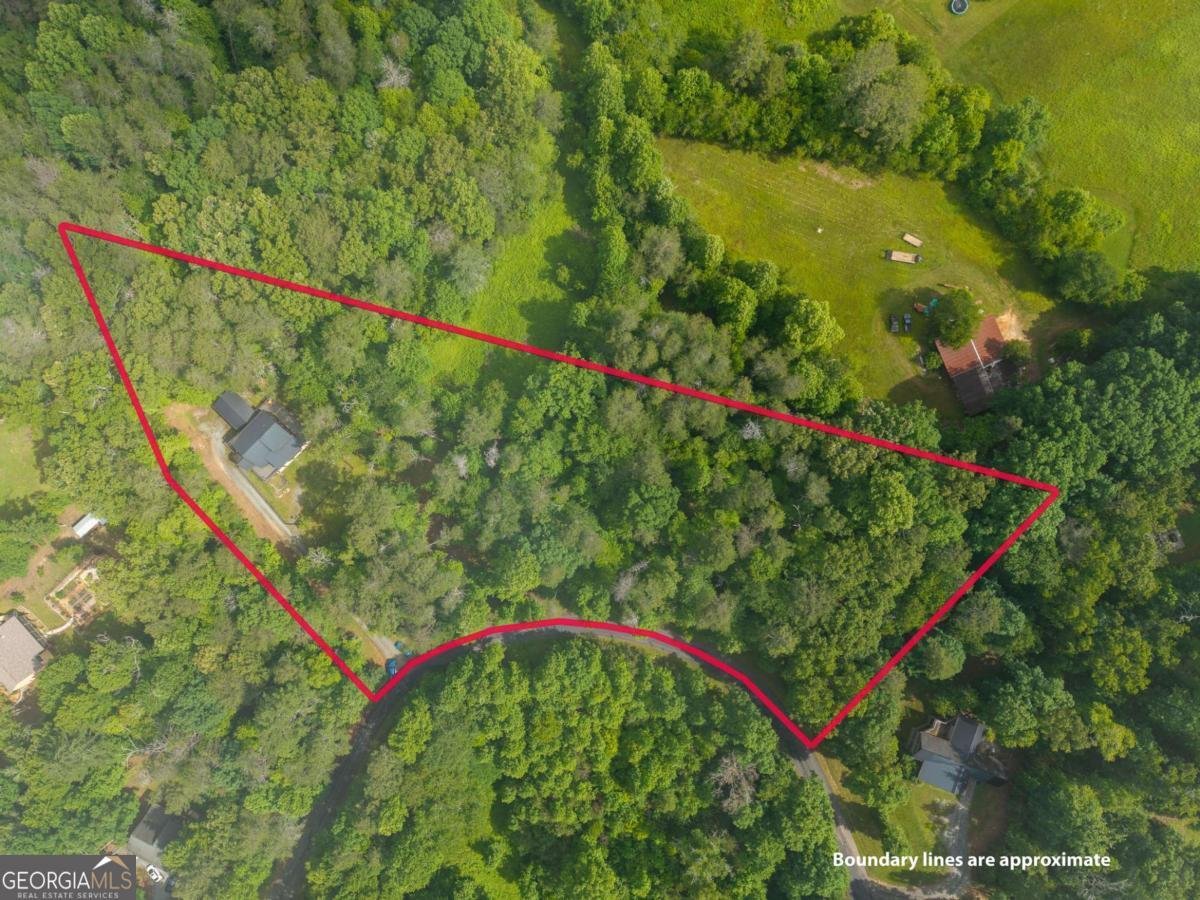 55 Hallee Drive Mineral Bluff - Photo 18