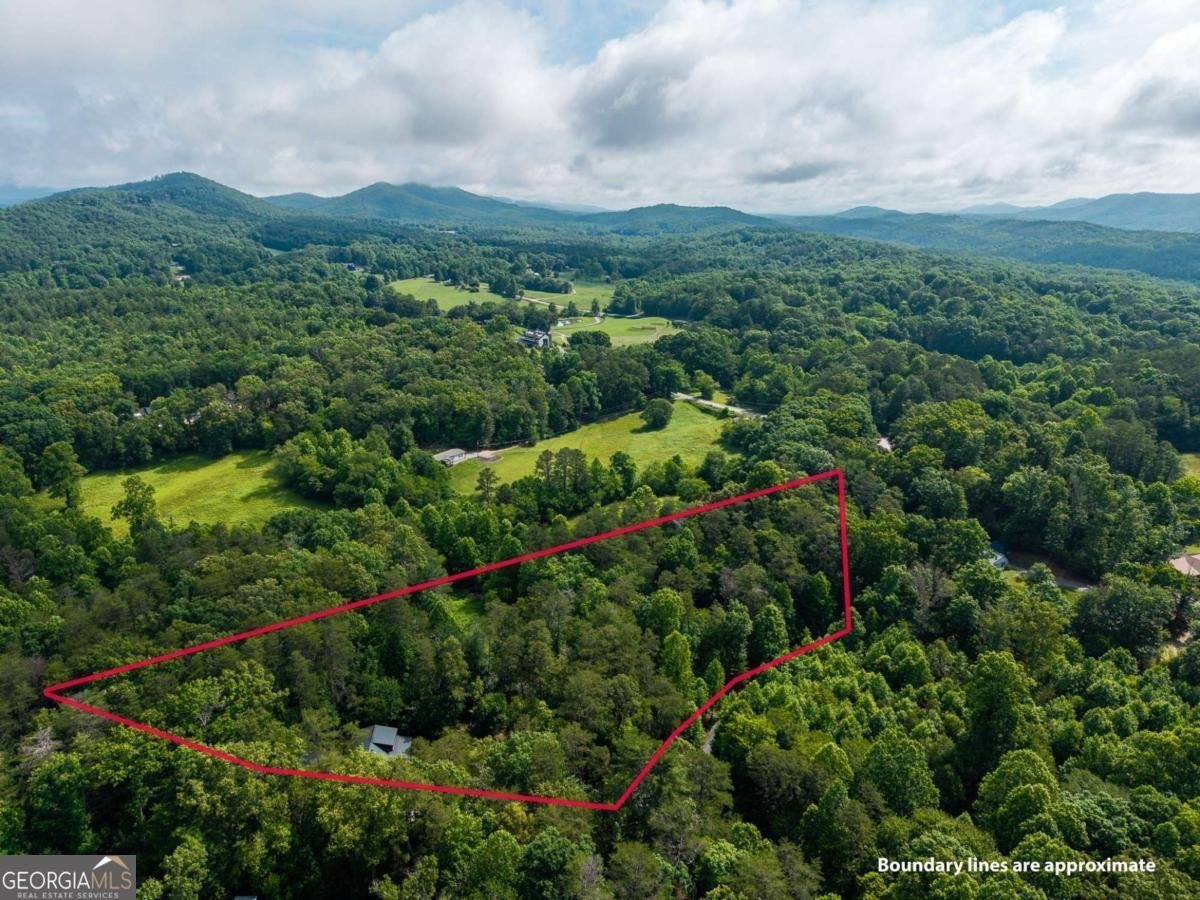 55 Hallee Drive Mineral Bluff - Photo 19