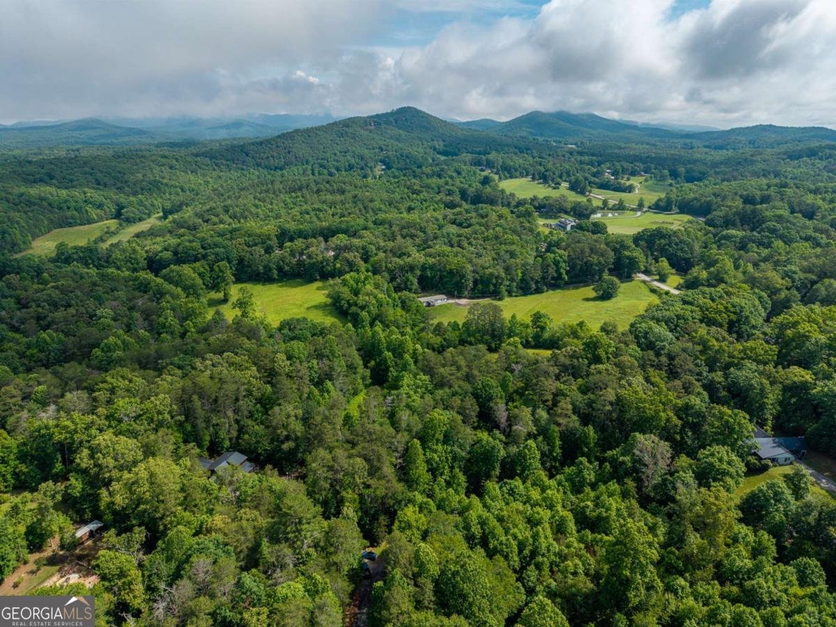 55 Hallee Drive Mineral Bluff - Photo 20