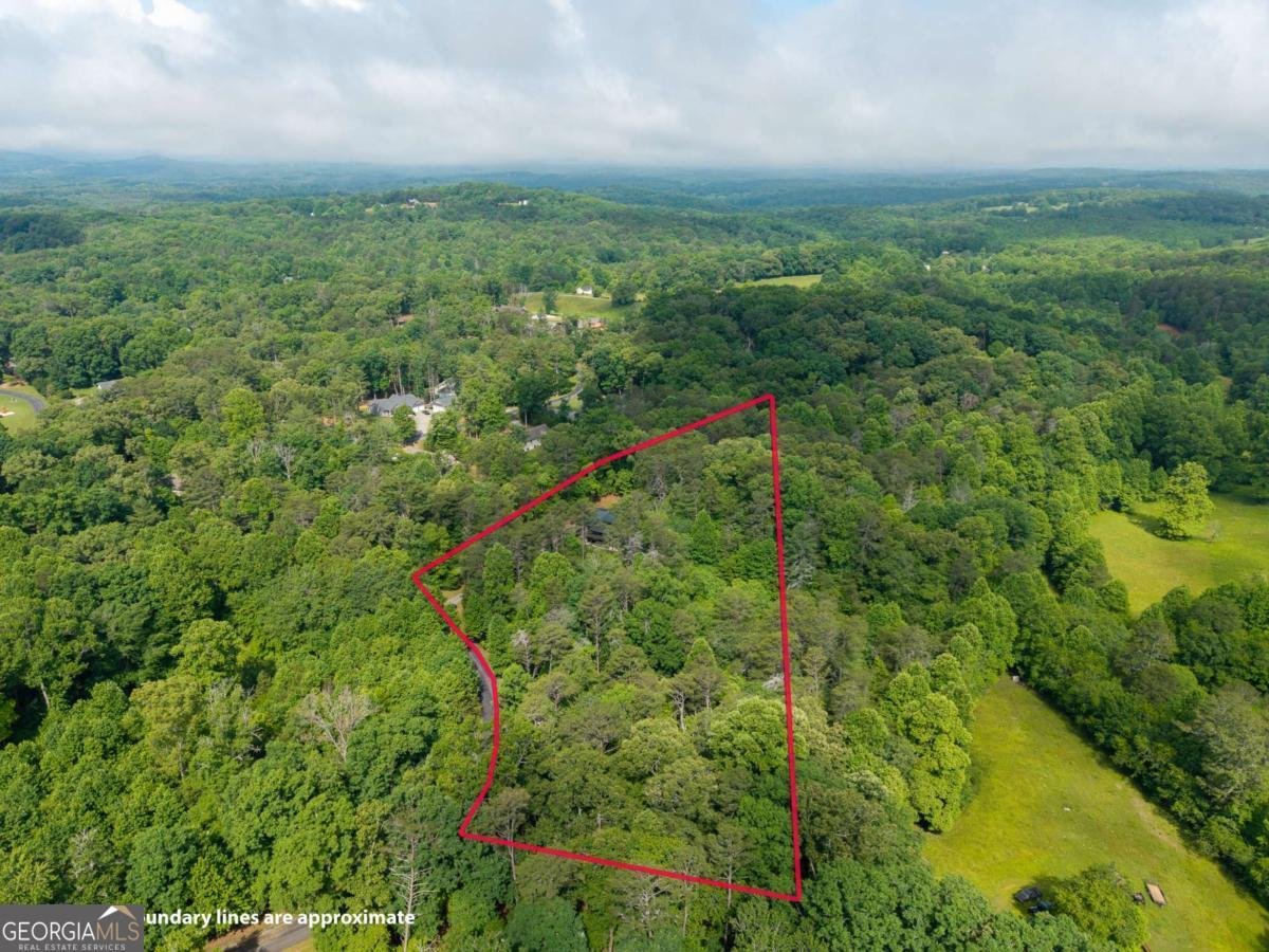 55 Hallee Drive Mineral Bluff - Photo 21